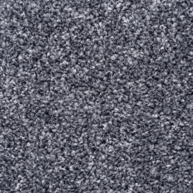 Belmont Carpet