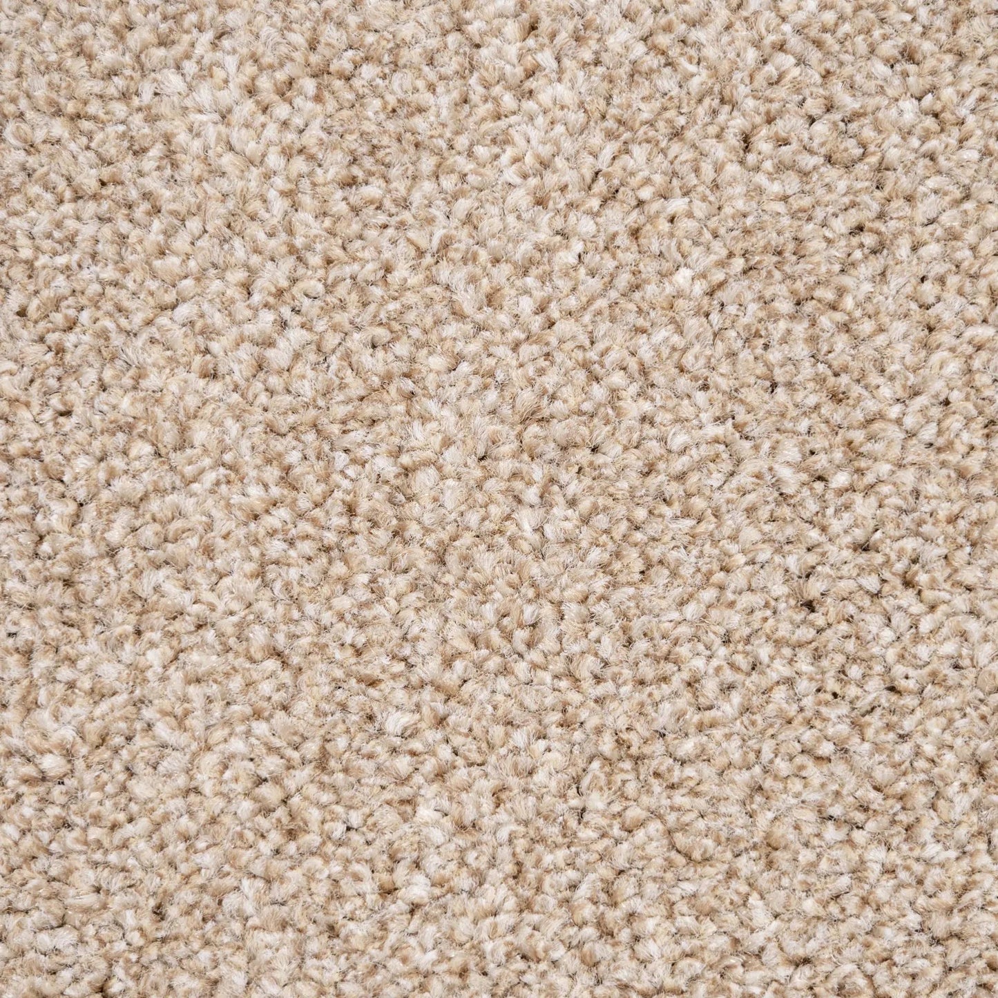Belmont Carpet