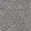 Belmont Carpet