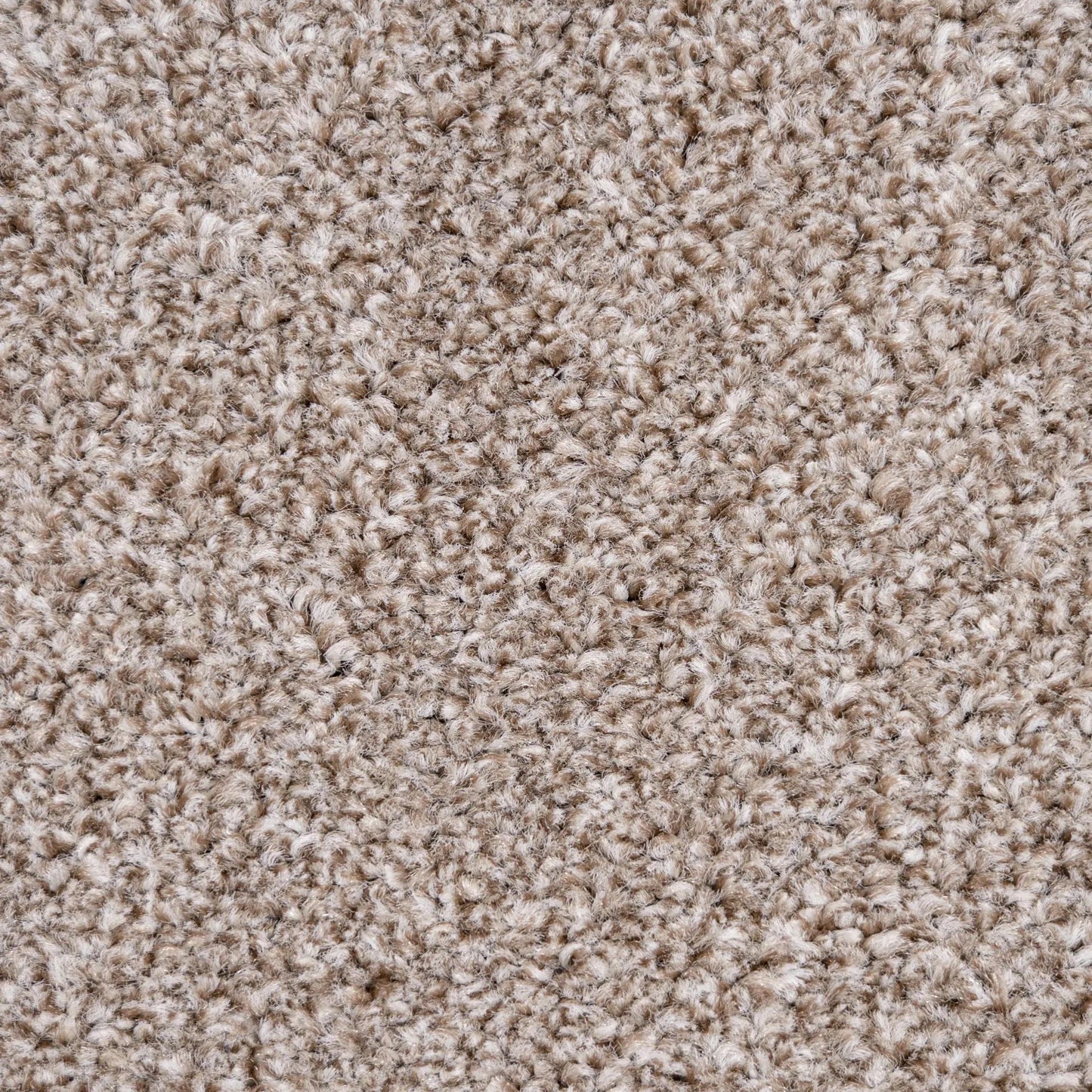 Belmont Carpet