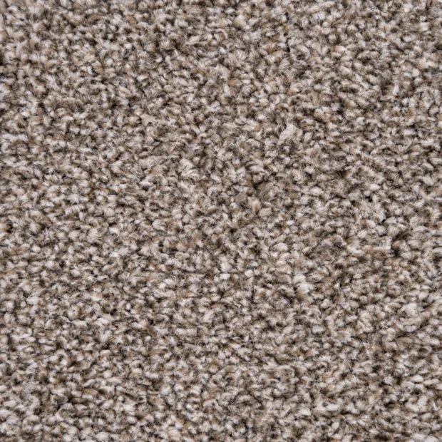 Belmont Carpet