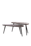 Viejo Coffee Table Set of 2 – Brown and Black Wood