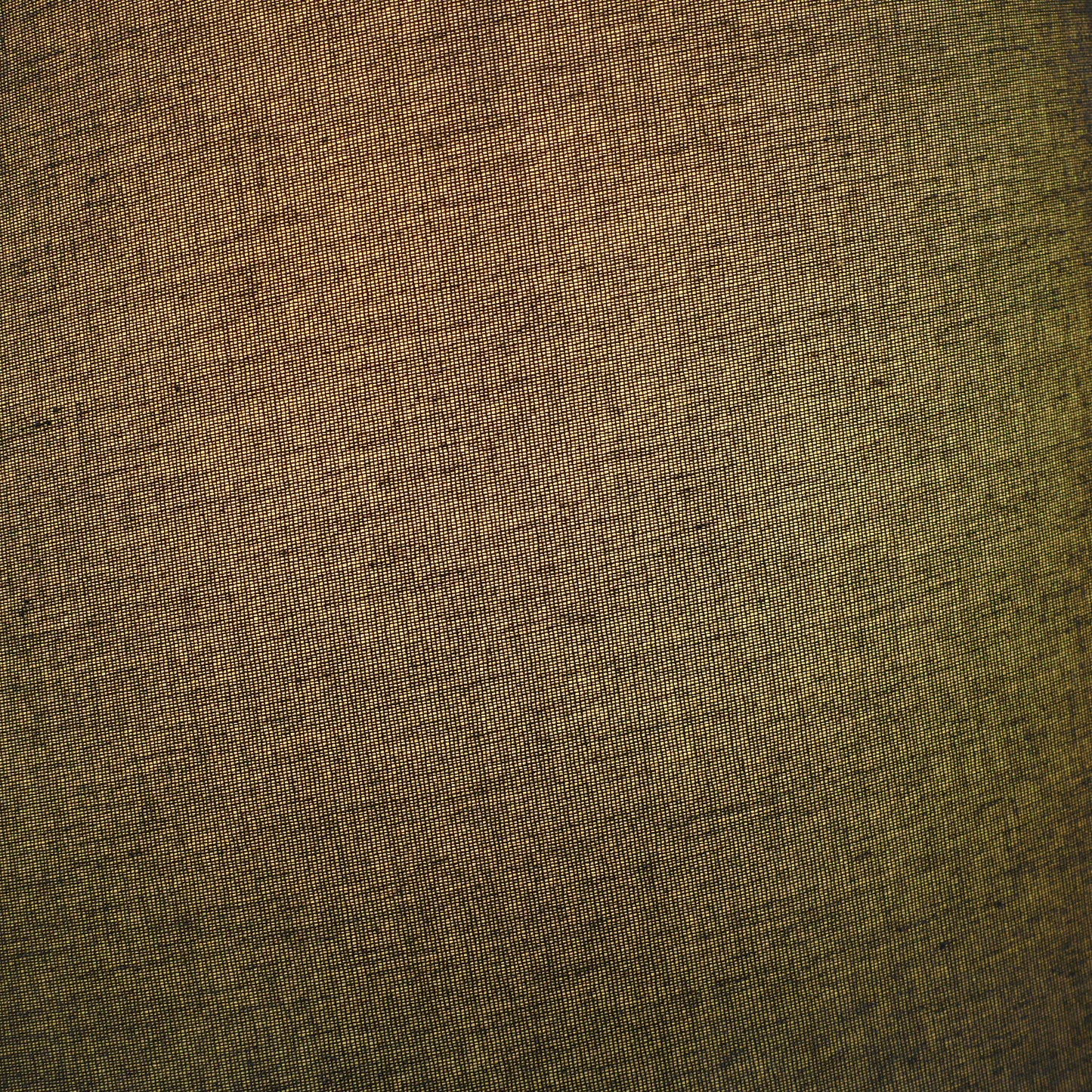 Wooden Horse Head Table Lamp with Dark Shade