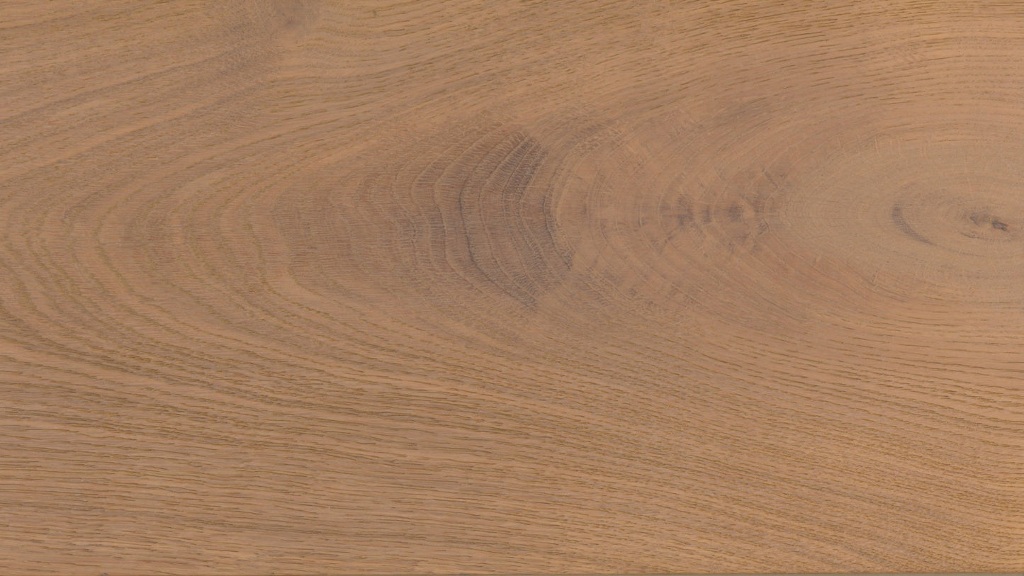 Desert Oak