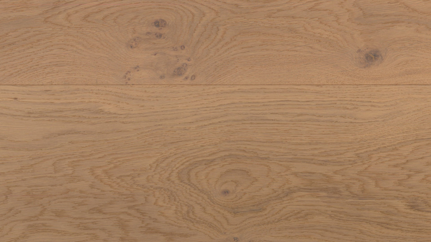 Desert Oak