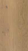 Desert Oak