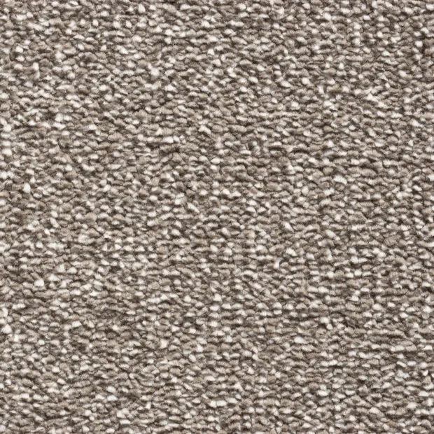 Montana Carpet