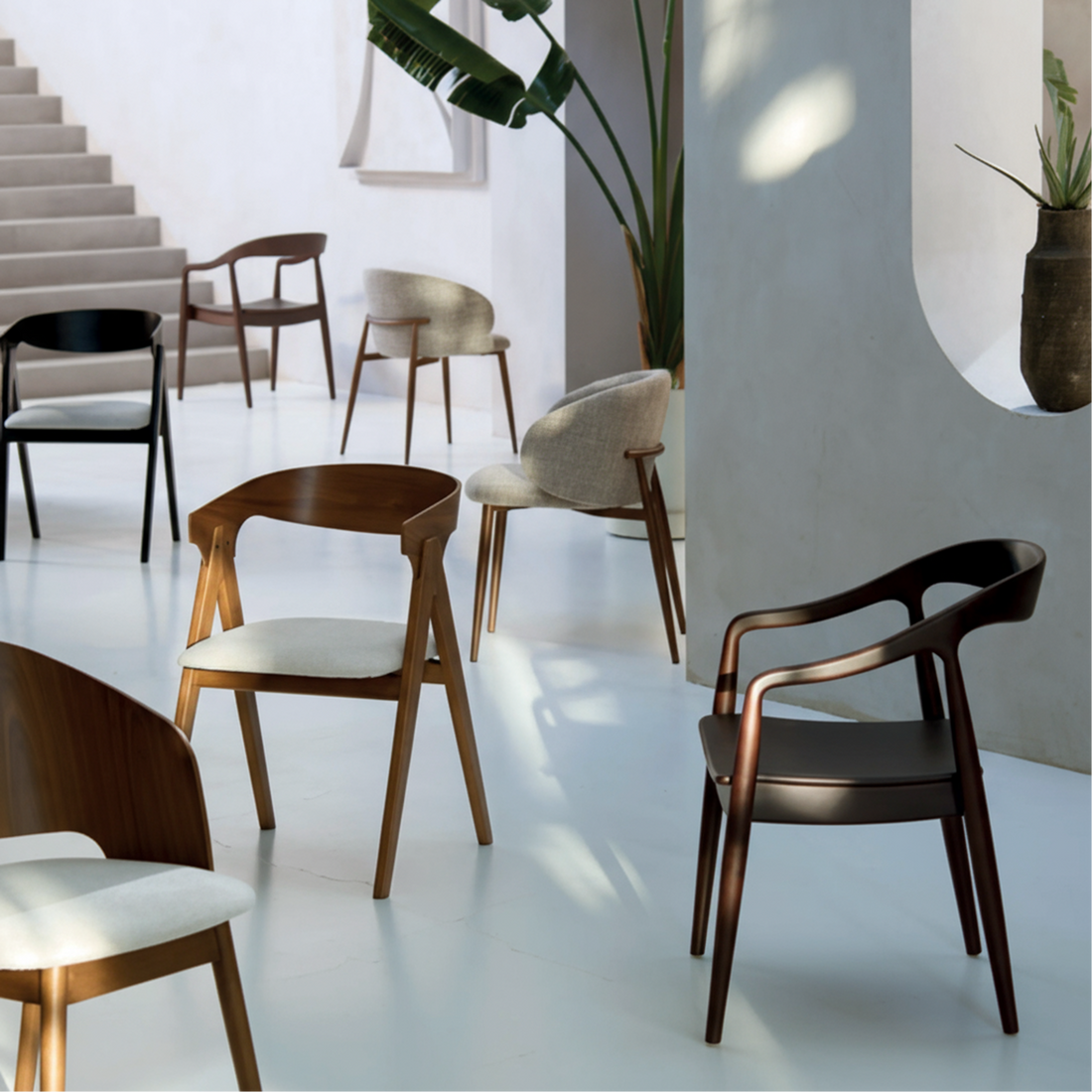 Commercial Projects & Management Companies