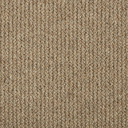 Koala (Ribbed)