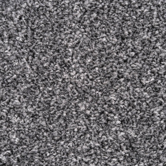 Belmont Carpet