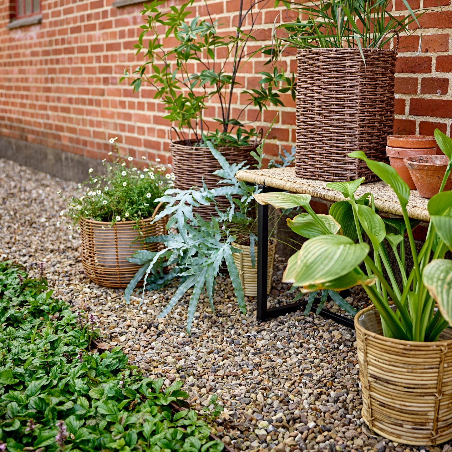 Adilly Bench Nature Polyrattan
