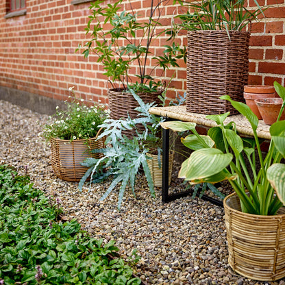 Adilly Bench Nature Polyrattan
