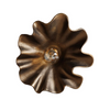 Wall Light Splash