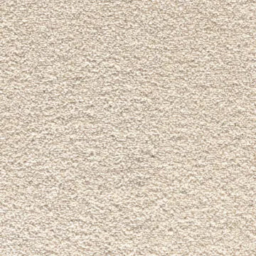 Noble Soft Carpet