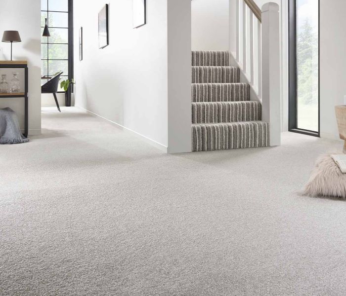 Noble Soft Carpet