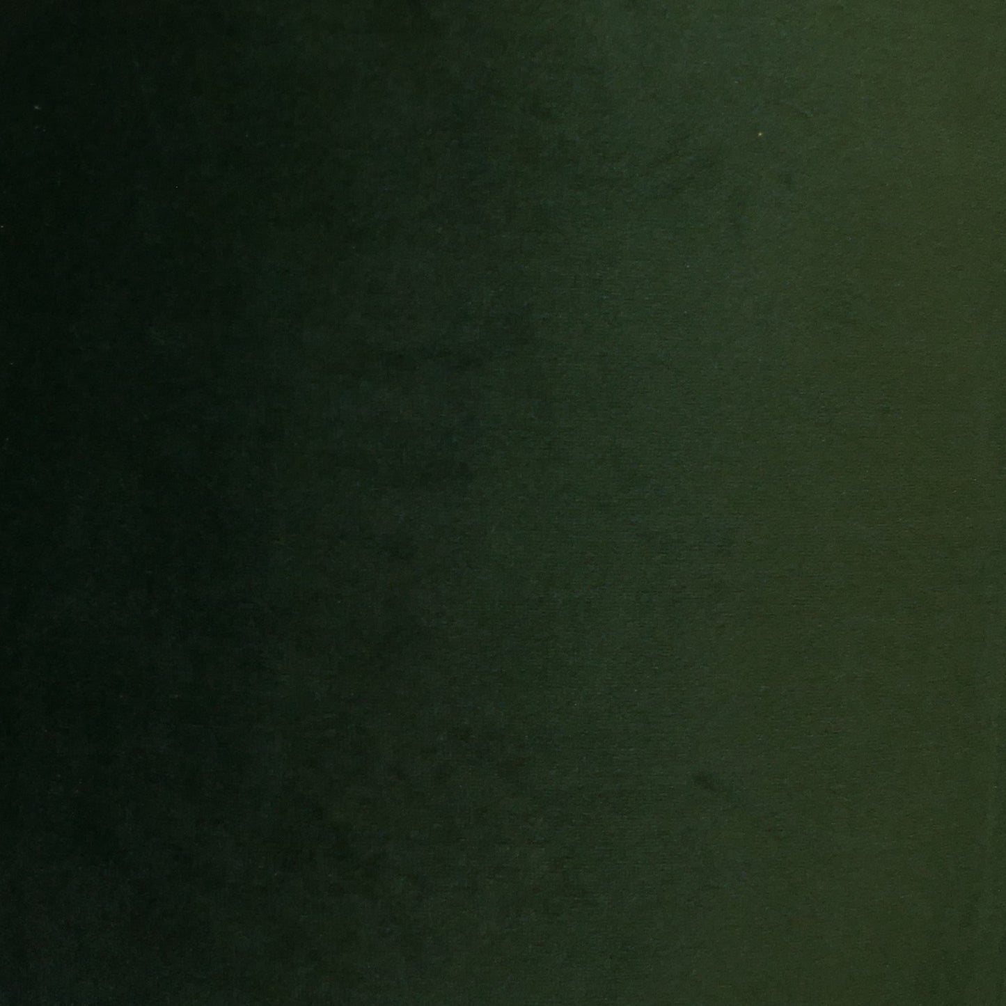 Black Frame Lamp with Deep Green Velvet Shade