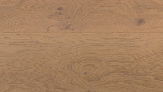 Desert Oak