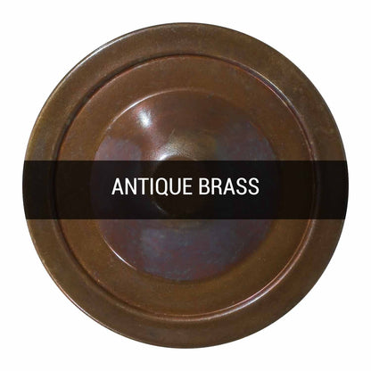 Apia Vintage Swivel Brass Picture Light