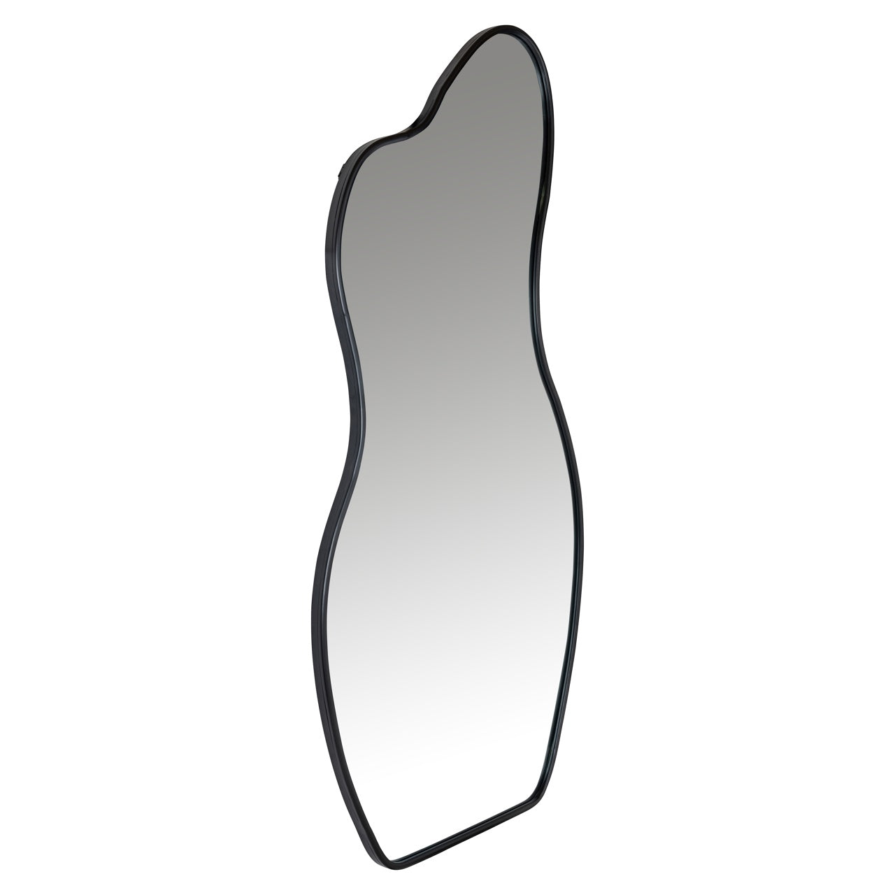 Aldon Black Metal Mirror