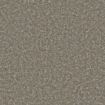 Cinder Grey