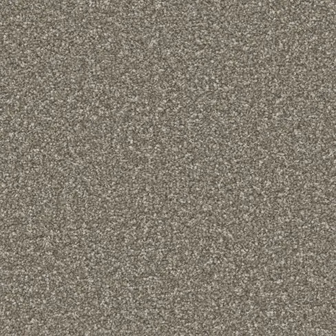 Cinder Grey