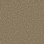 Cork Oak