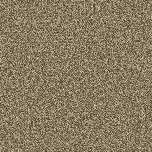Cork Oak
