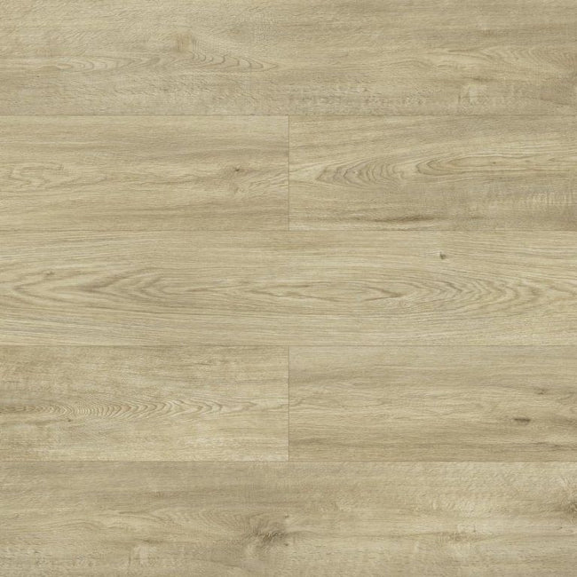 Galaxy Oak