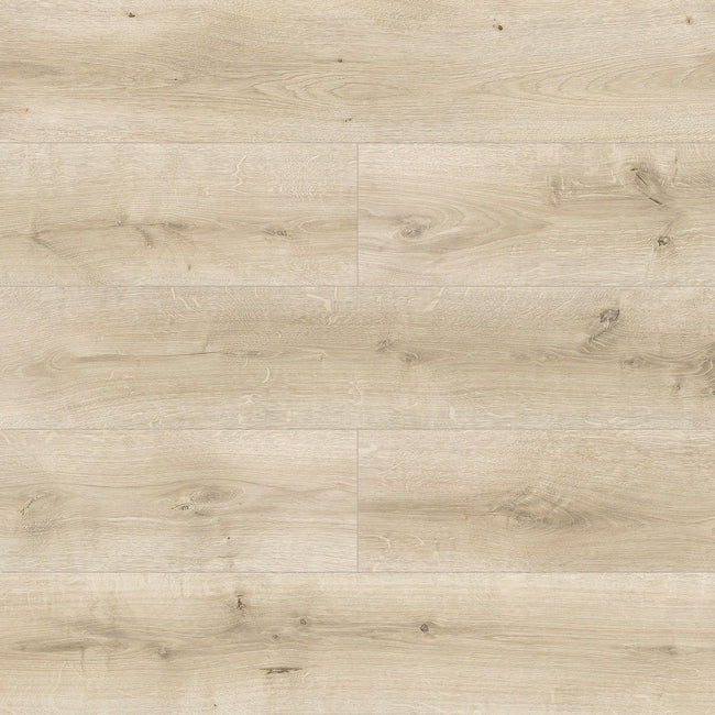 Capricorn Oak