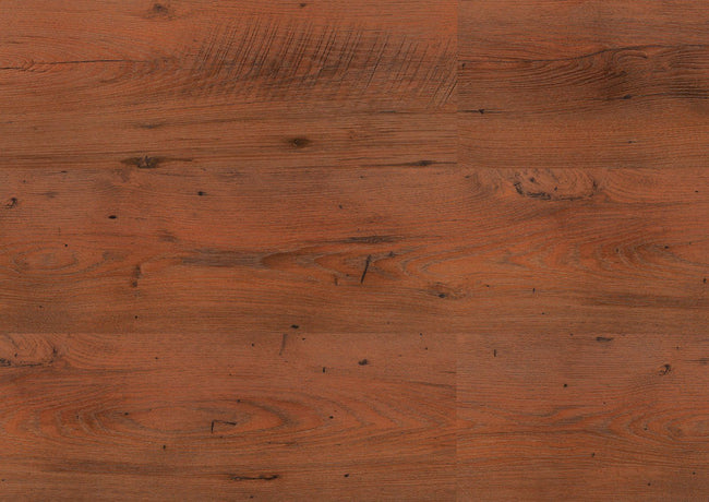 Blues Chestnut D3342