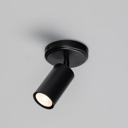 Evanston Directional Brass Ceiling Spotlight 8.5cm IP20