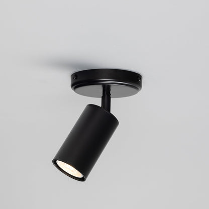 Evanston Directional Brass Ceiling Spotlight 8.5cm IP20