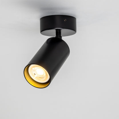 Evanston Directional Brass Ceiling Spotlight 8.5cm IP20