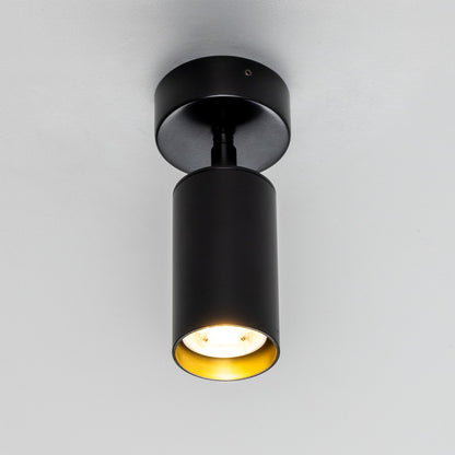 Evanston Directional Brass Ceiling Spotlight 8.5cm IP20