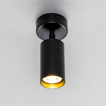 Evanston Directional Brass Ceiling Spotlight 8.5cm IP20