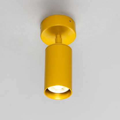 Evanston Directional Brass Ceiling Spotlight 8.5cm IP20