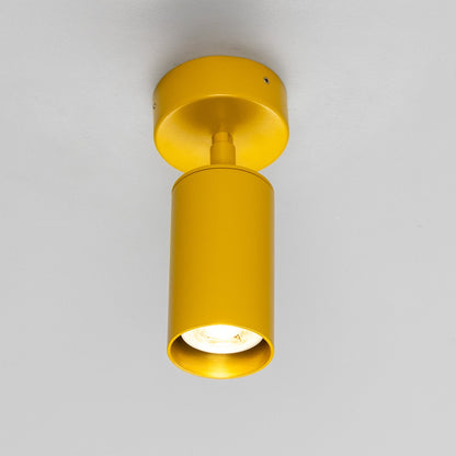 Evanston Directional Brass Ceiling Spotlight 8.5cm IP20
