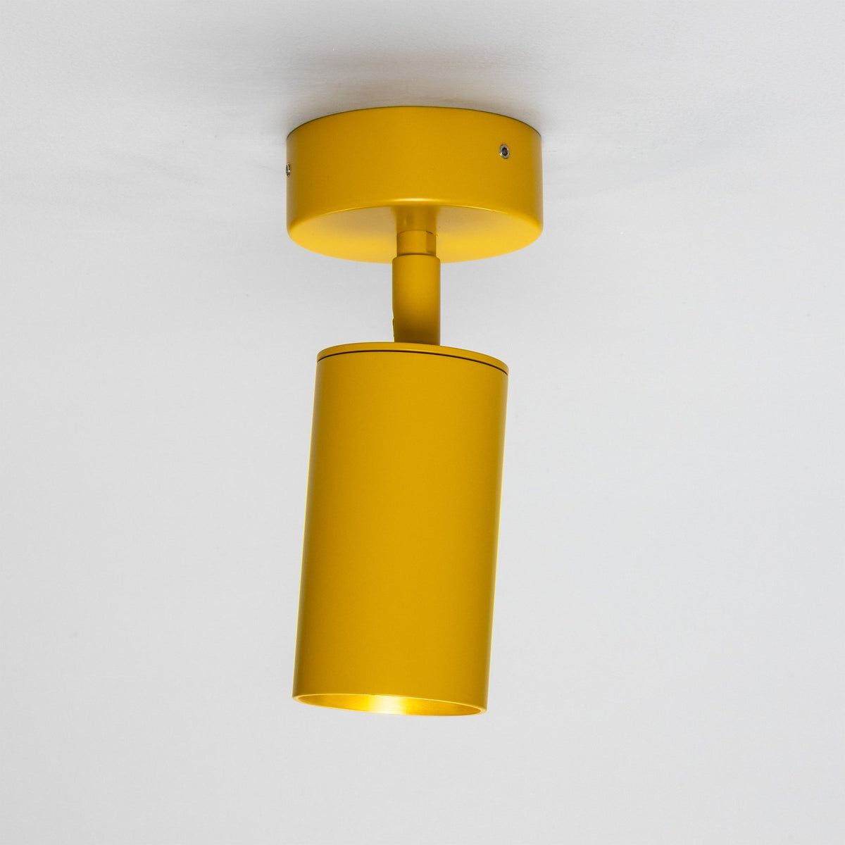 Evanston Directional Brass Ceiling Spotlight 8.5cm IP20