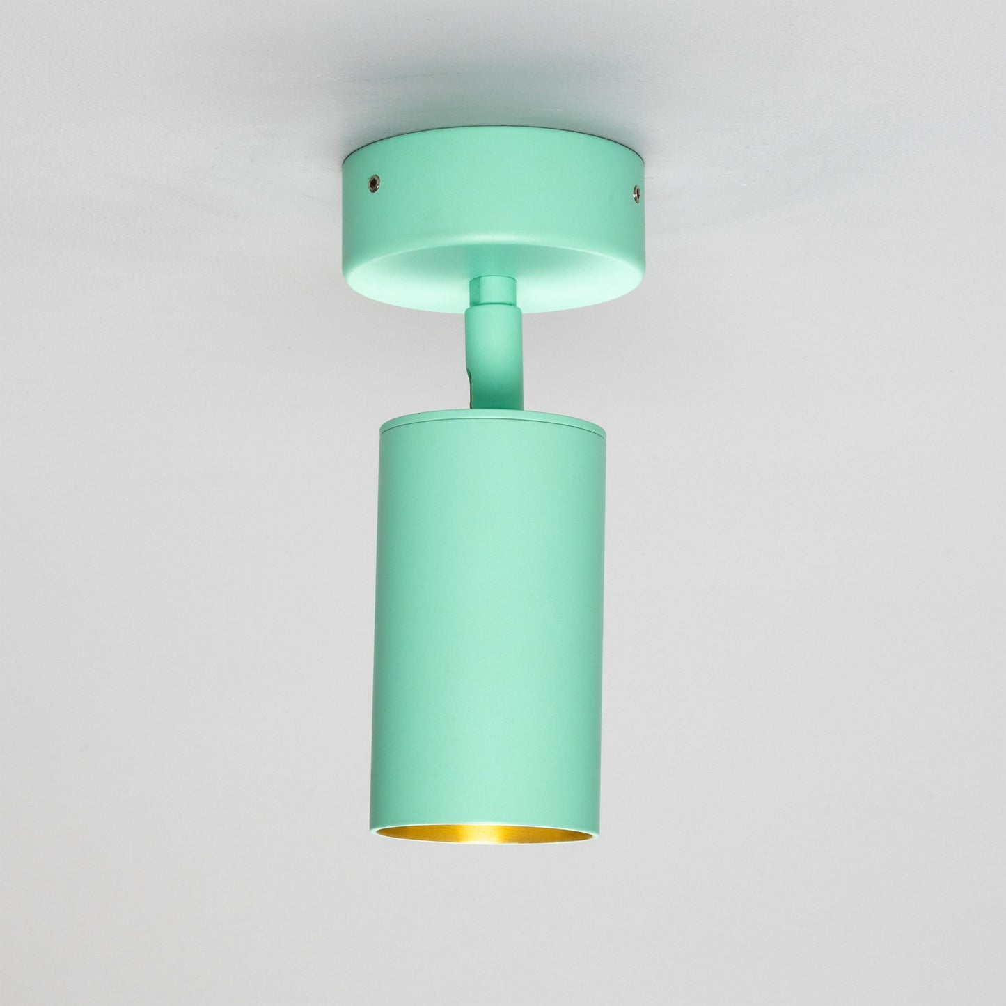 Evanston Directional Brass Ceiling Spotlight 8.5cm IP20