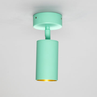 Evanston Directional Brass Ceiling Spotlight 8.5cm IP20