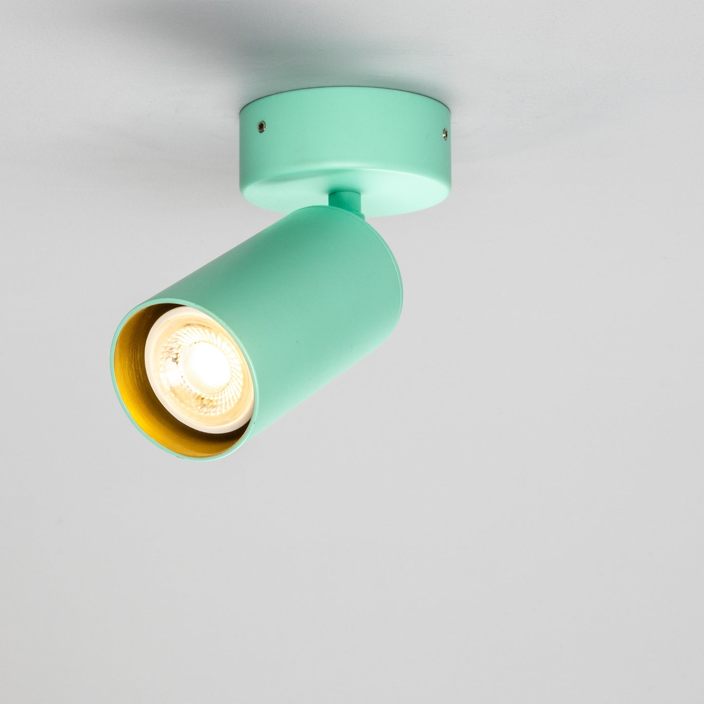 Evanston Directional Brass Ceiling Spotlight 8.5cm IP20