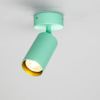 Evanston Directional Brass Ceiling Spotlight 8.5cm IP20