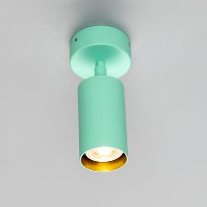 Evanston Directional Brass Ceiling Spotlight 8.5cm IP20