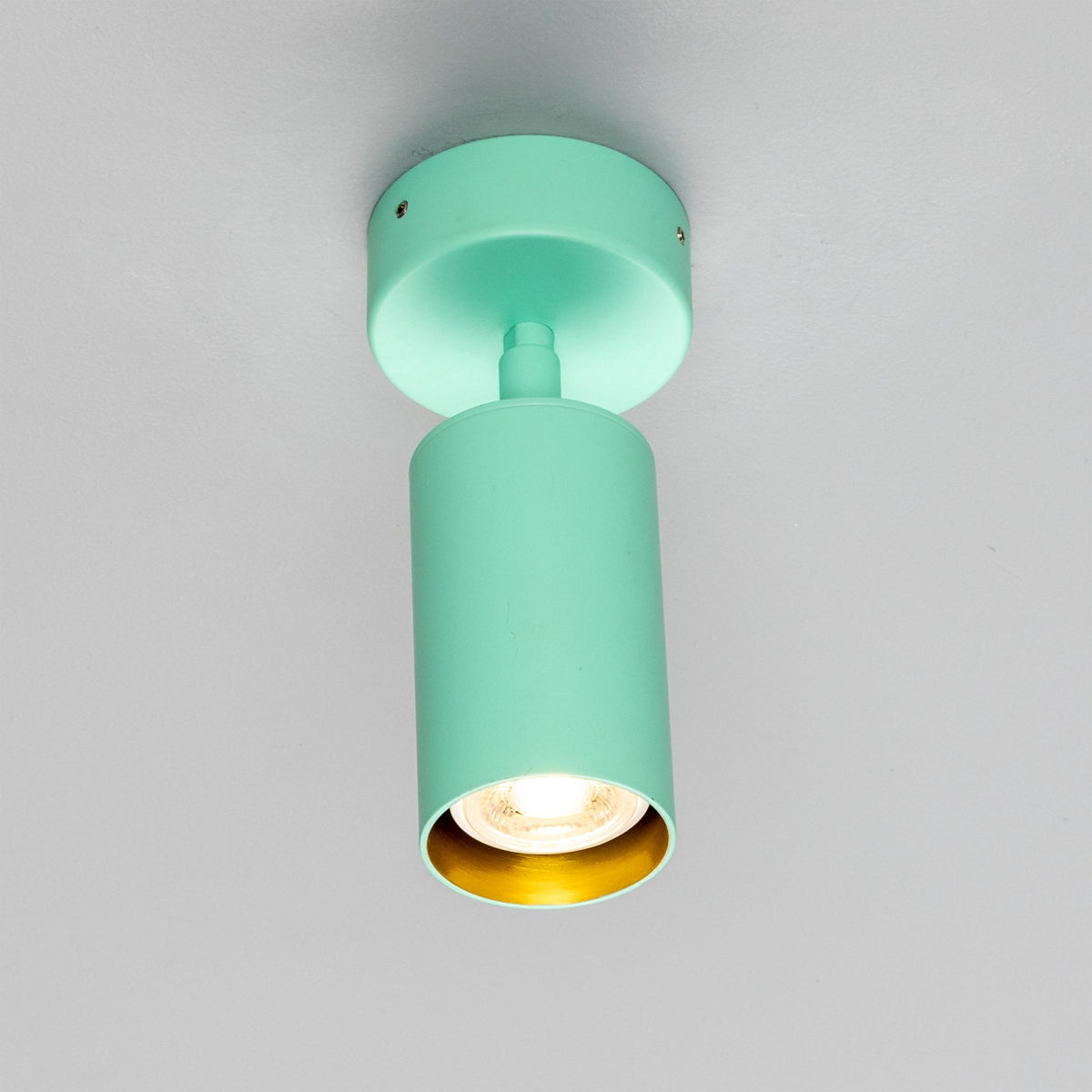 Evanston Directional Brass Ceiling Spotlight 8.5cm IP20