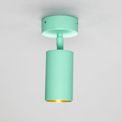 Evanston Directional Brass Ceiling Spotlight 8.5cm IP20