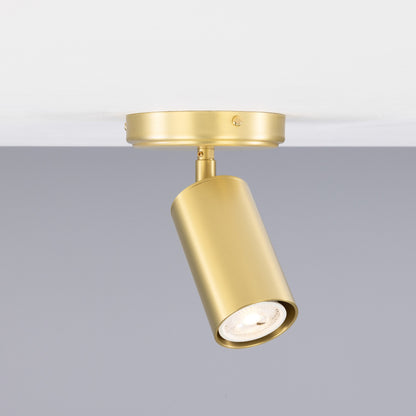 Evanston Directional Brass Ceiling Spotlight 8.5cm IP20