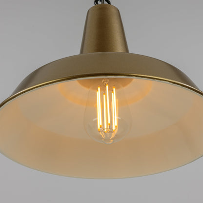 Hex Industrial Factory Pendant Light 30cm IP20