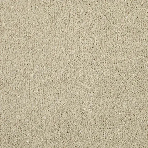 Pale Angora
