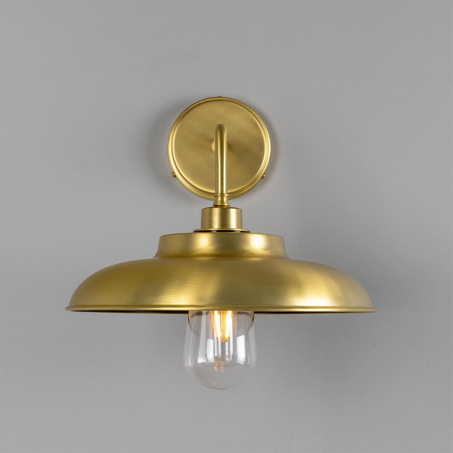 Darya Brass Outdoor Wall Light 31.5cm IP65
