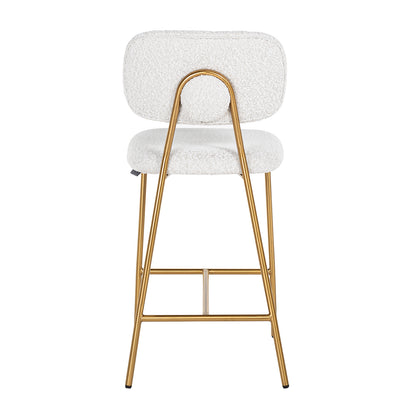 Xenia Counter Stool (Set of 2)
